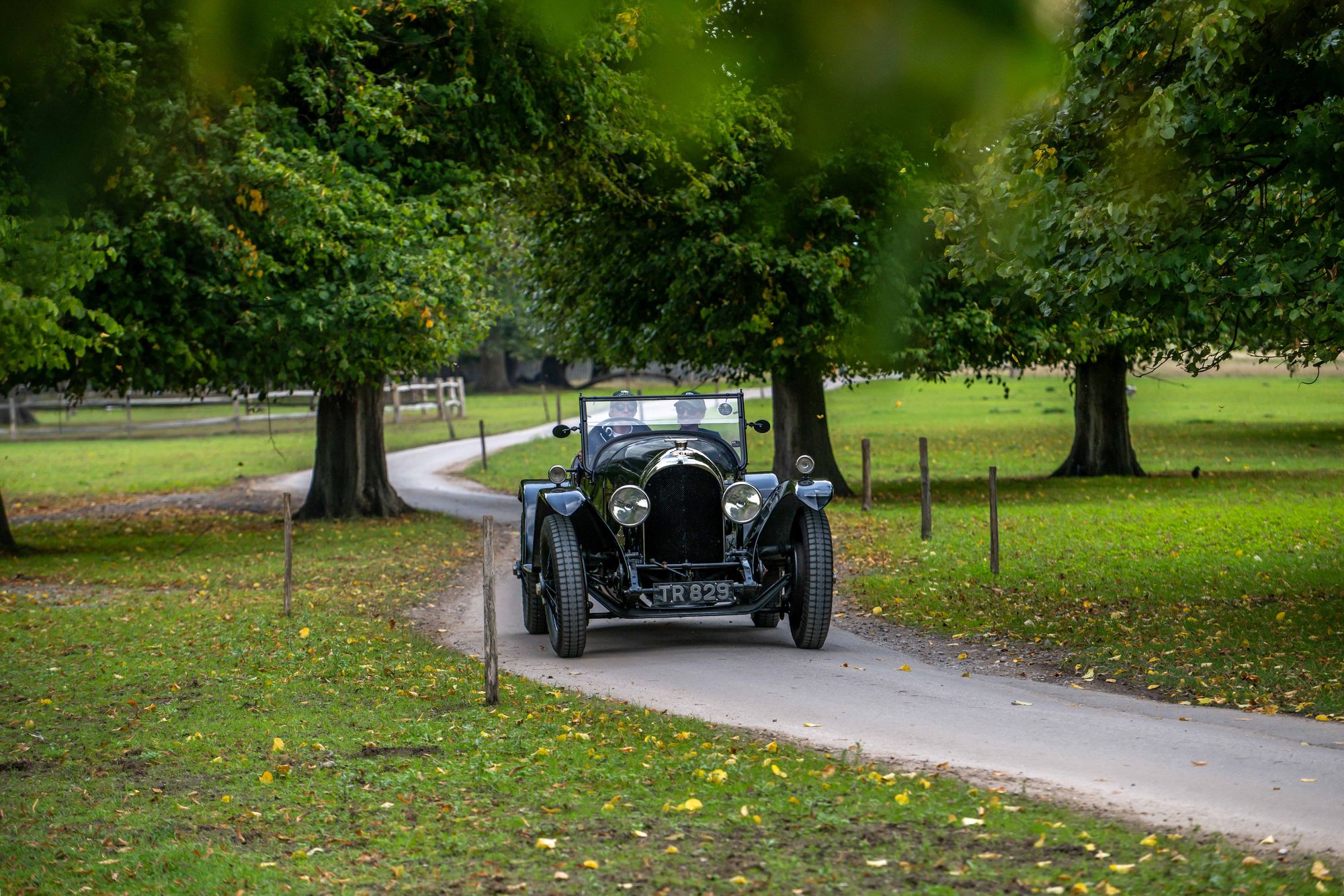 Hampton Court Concours