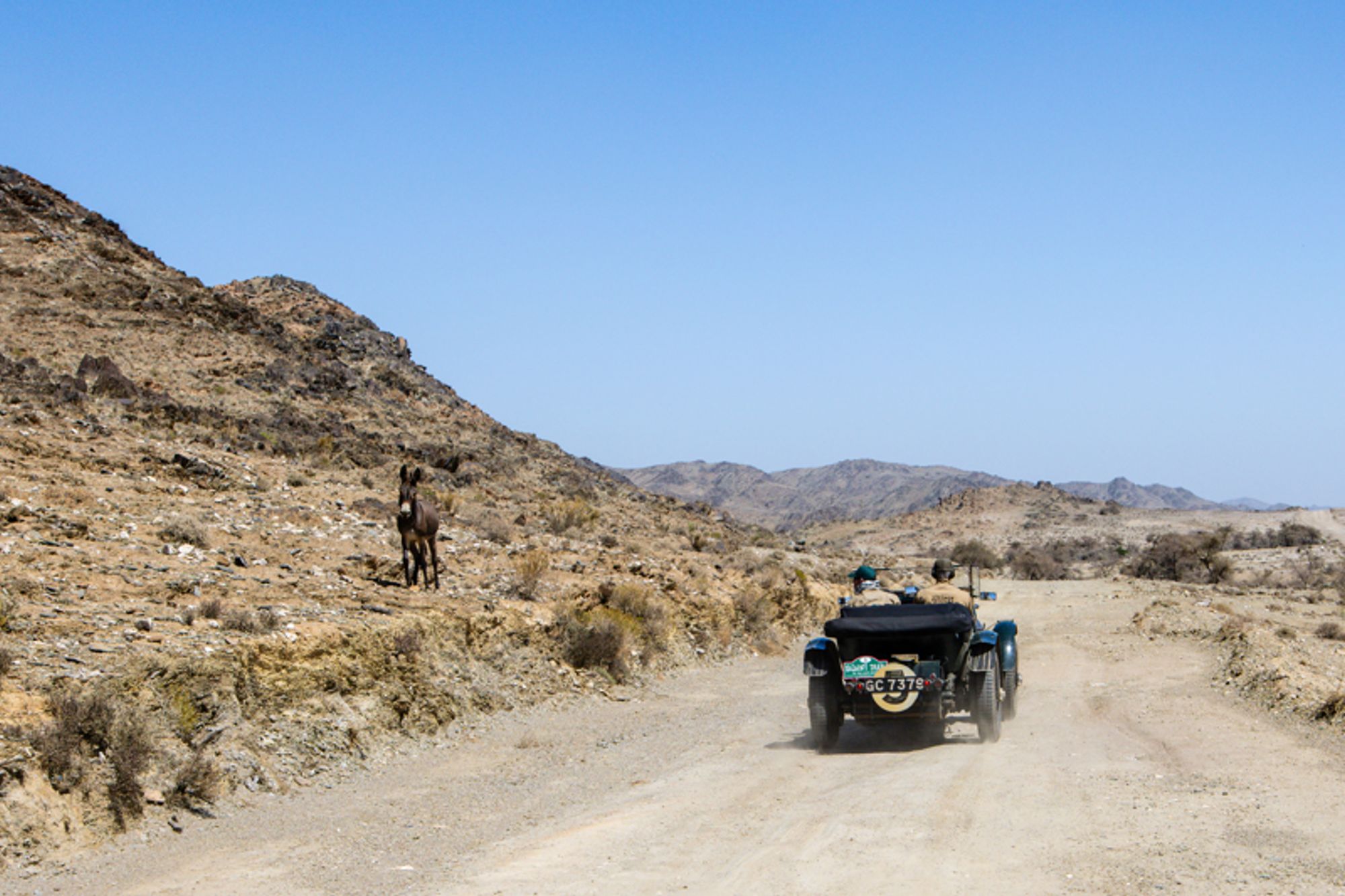 Generations on the Badawi