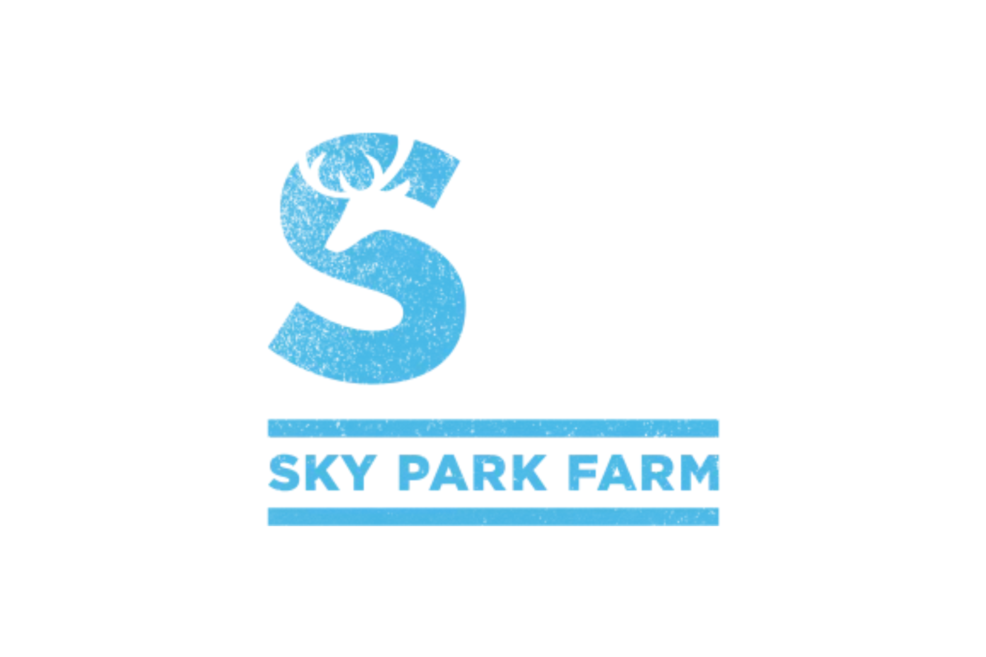 SkyFest 2025